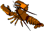 Bug